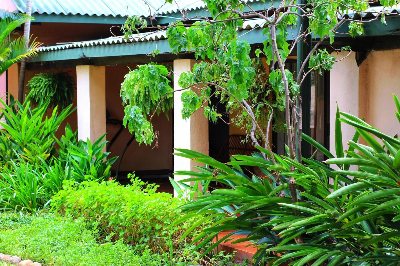 Butterfly Apartments Livingstone Dış mekan fotoğraf
