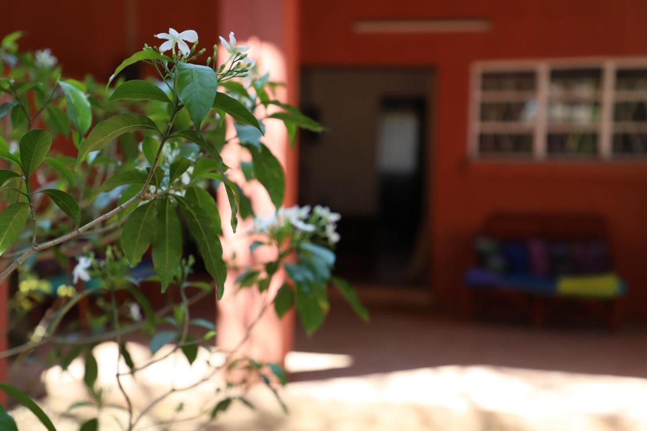 Butterfly Apartments Livingstone Dış mekan fotoğraf